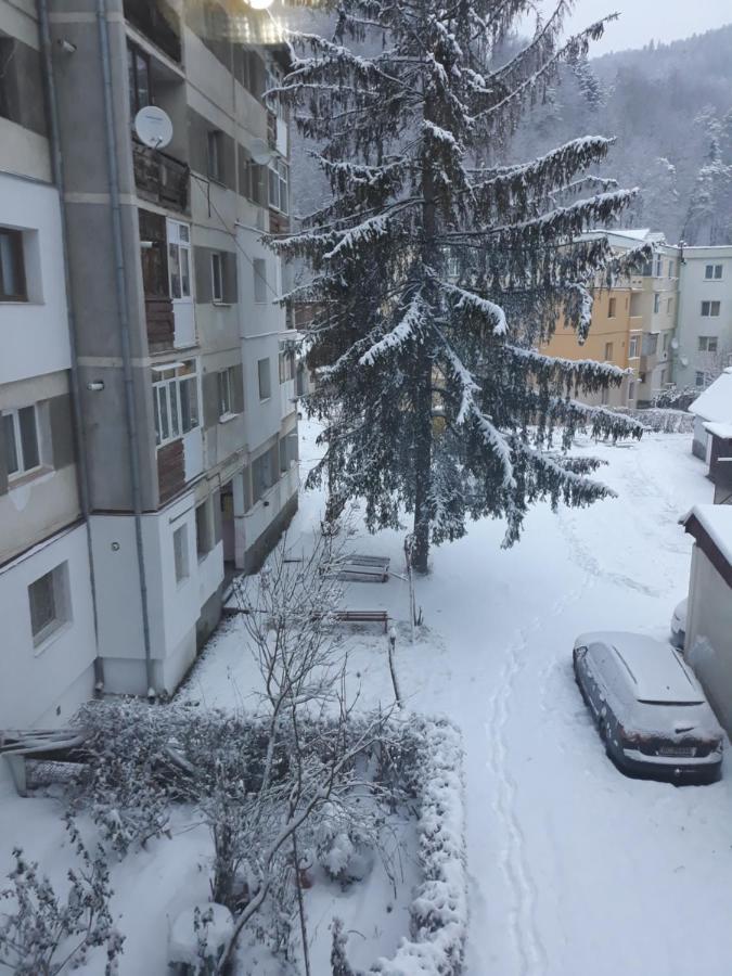 Apartament Aurora Слэник-Молдова Экстерьер фото